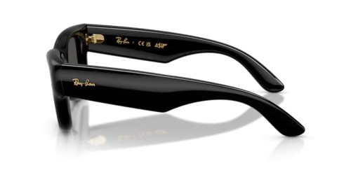 Ray-Ban RB4940 - 601/87 - 50 Napszemüvegek Fekete Szögletes