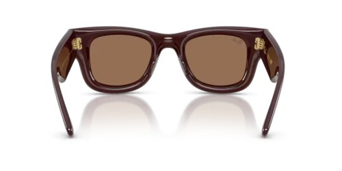Ray-Ban RB4940 - 687773 - 50 Napszemüvegek Sötétbarna Szögletes