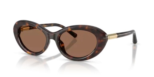 DOLCE & GABBANA DG4519 - 502/73 - 54 Napszemüvegek Havanna Ovális