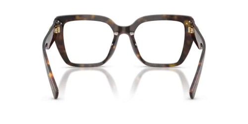 DOLCE & GABBANA DG3441 - 502 - 53 Optikai keretek Havanna Szögletes
