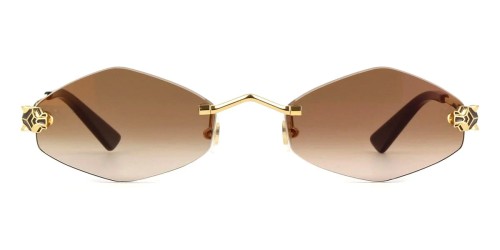 Cartier - Sonnenbrillen - CT0433S - 002 - 55