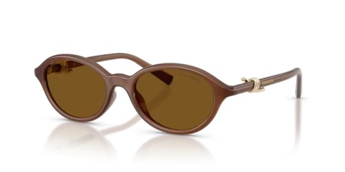 TIFFANY & CO. TF4266U - 847183 - 51 - POLARIZÁLT LENCSÉKKEL Napszemüvegek Átlátszó méz Ovális
