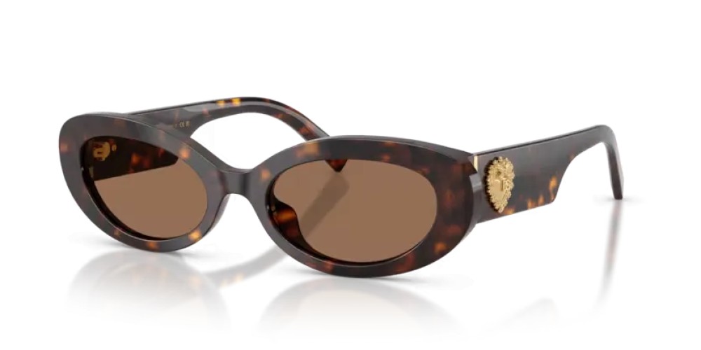 DOLCE & GABBANA DG4537 - 502/73 - 53 Napszemüvegek Havanna Ovális