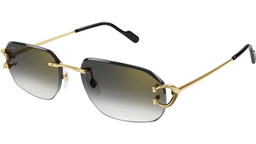 Cartier - Sonnenbrillen - CT0468S - 001 - 58