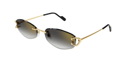 Cartier - Sonnenbrillen - CT0467S - 001 - 57