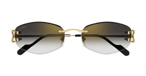 Cartier - Sonnenbrillen - CT0467S - 001 - 57