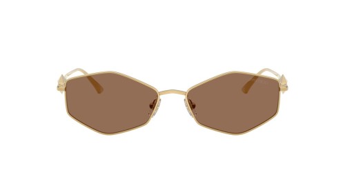Jimmy Choo - Sonnenbrillen - JC4017 - ​302373 - ​55
