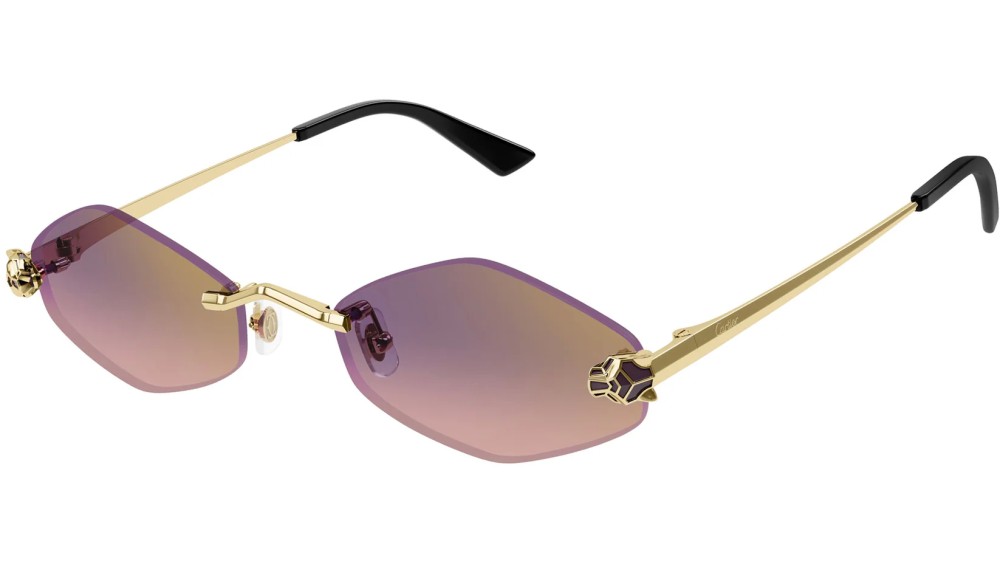 Cartier - Sonnenbrillen - CT0433S - 004 - 55